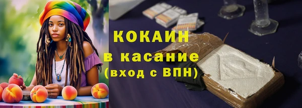 ГАЛЛЮЦИНОГЕННЫЕ ГРИБЫ Михайлов