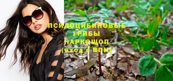 прущий лед Абаза