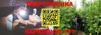 дурь Заводоуковск
