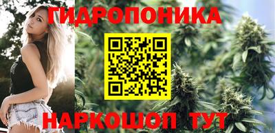 дурь Заводоуковск