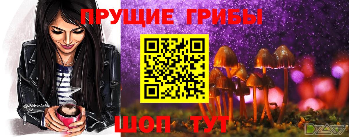 Псилоцибиновые грибы GOLDEN TEACHER Фурманов