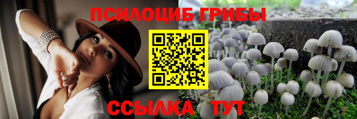 Галлюциногенные грибы Psilocybine cubensis  Псилоцибиновые грибы Magic Shrooms  Фурманов  закладки  Вход с VPN 